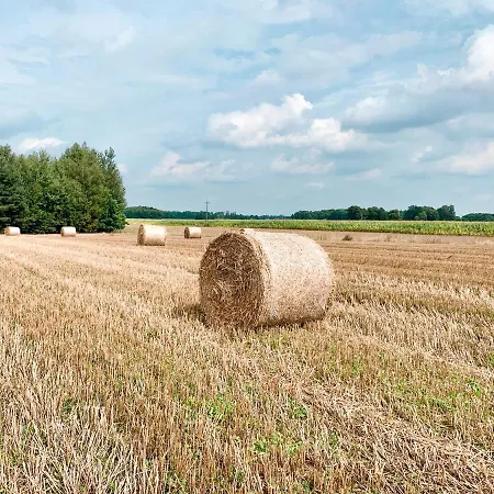 Gospodarstwo agroturystyczne Sielanka Przasnysz