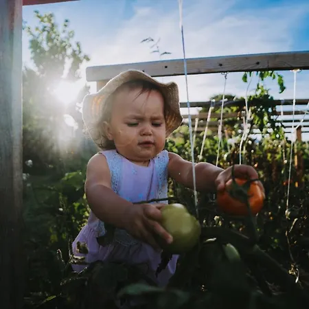 Sielanka Gospodarstwo agroturystyczne