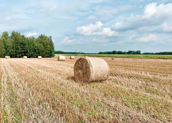 Alojamento de Turismo Rural Sielanka Przasnysz